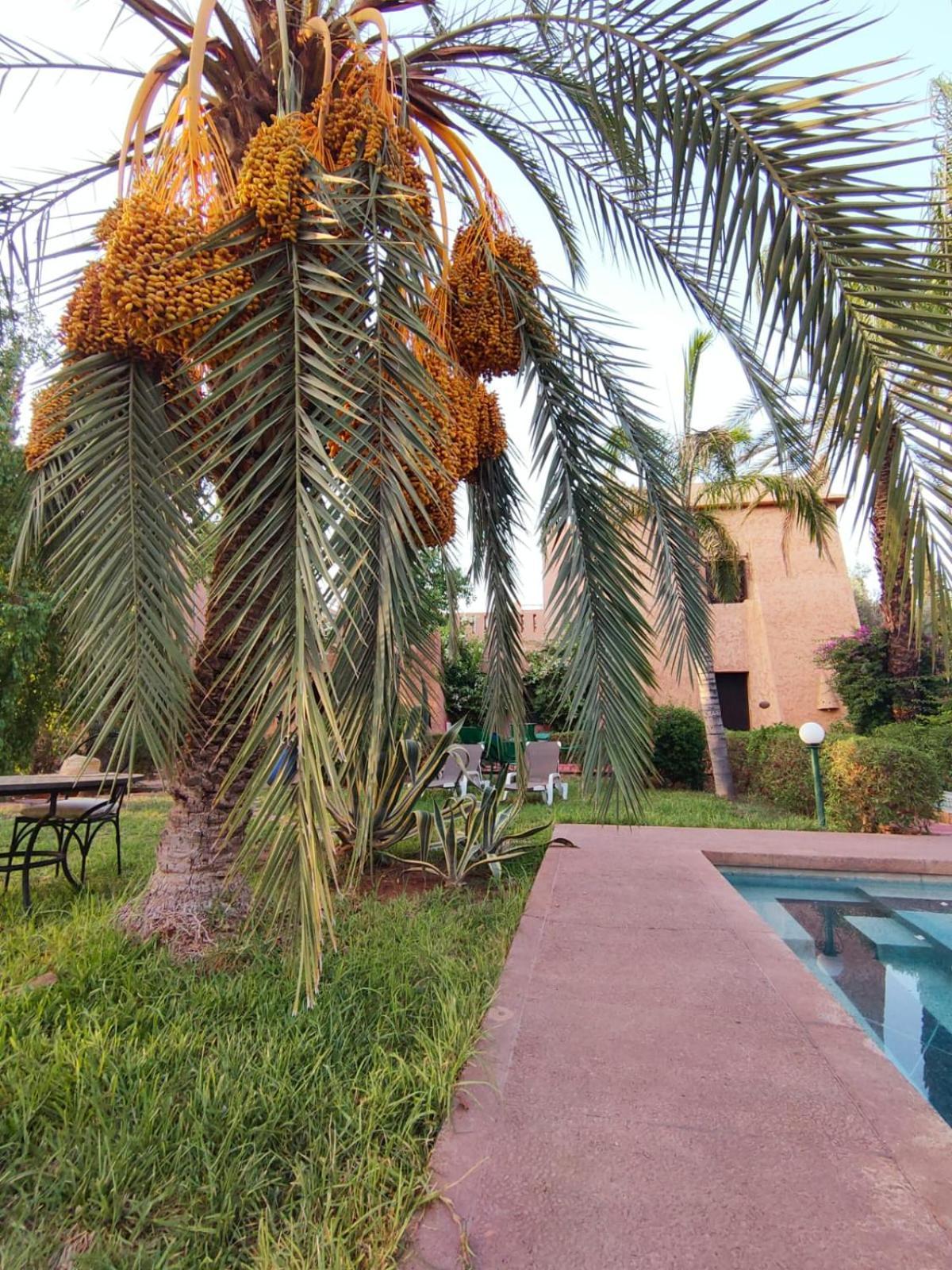 Riad Sheherazade Marrakech Marakéš Exteriér fotografie