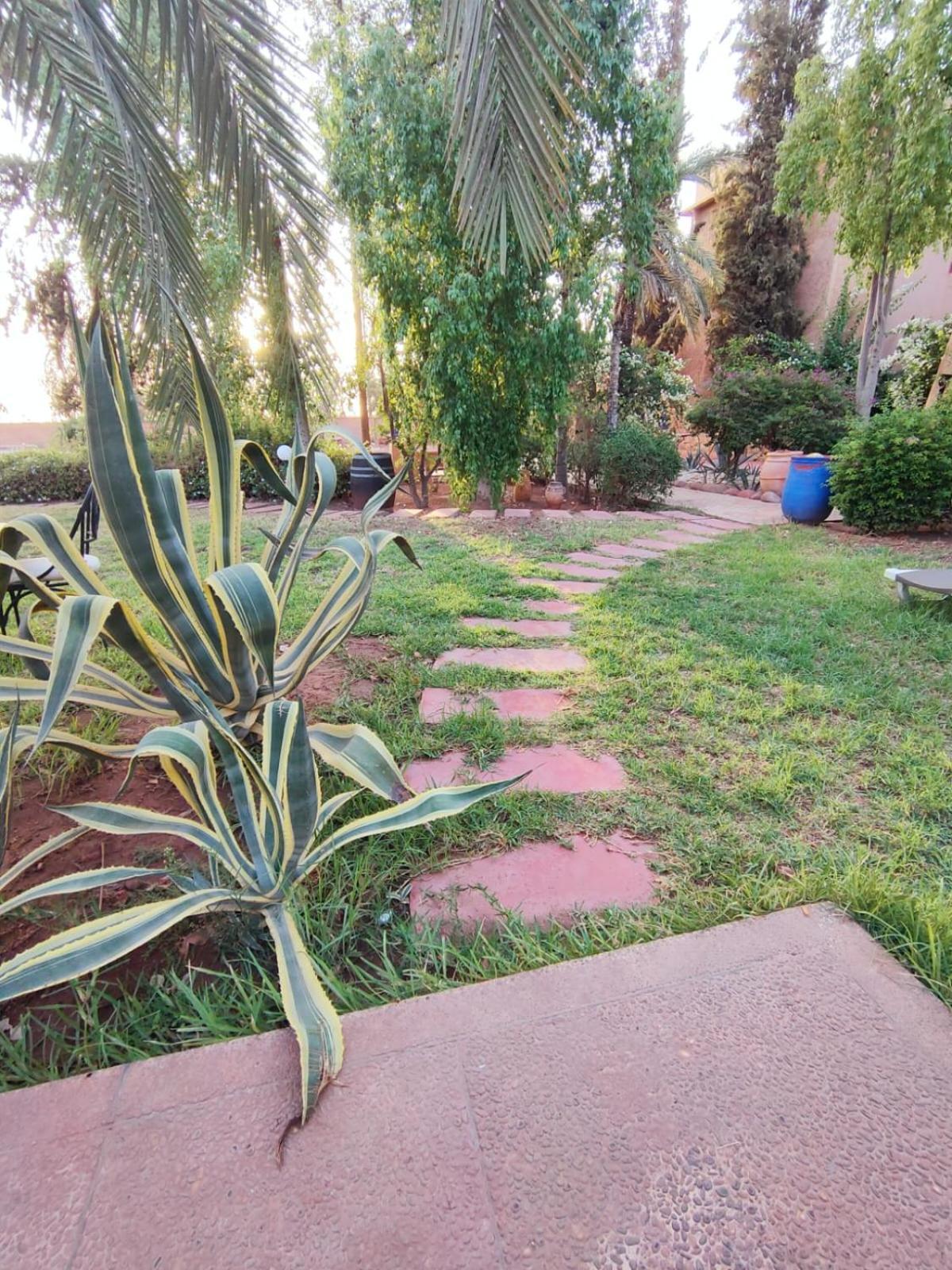Riad Sheherazade Marrakech Marakéš Exteriér fotografie
