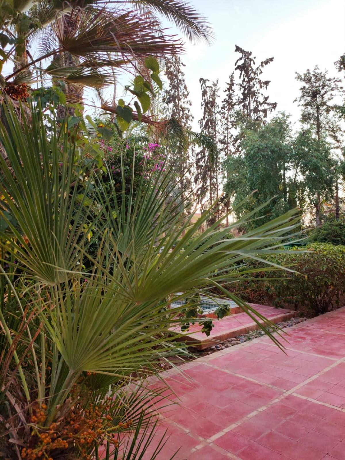 Riad Sheherazade Marrakech Marakéš Exteriér fotografie