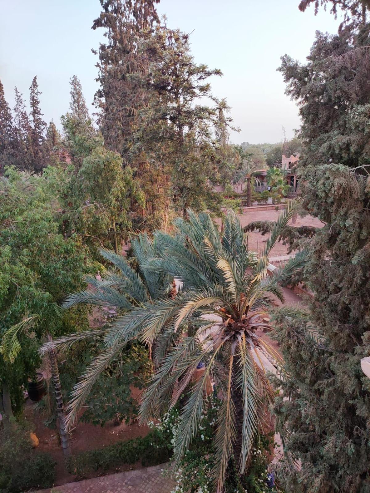 Riad Sheherazade Marrakech Marakéš Exteriér fotografie